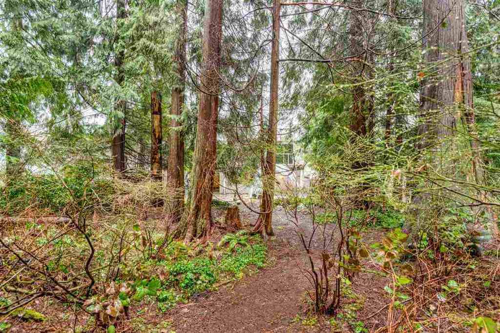 river-springs-coquitlam-neighbourhood-information-real-estate