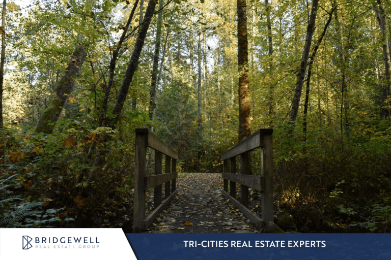 River Springs Coquitlam Neighbourhood Information Real Estate