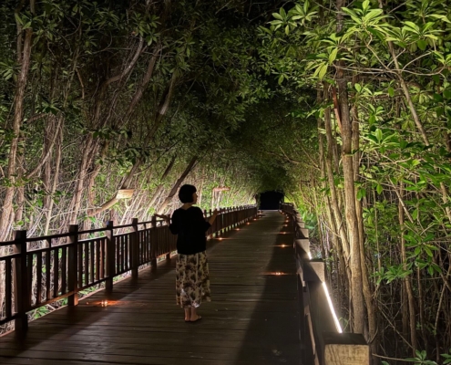 Relaxing time in Mexico