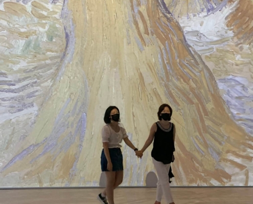 Visiting an art gallery