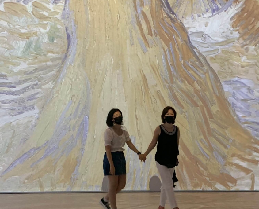 Visiting an art gallery